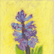 Hyacinth III Pastel